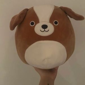 10/11” Bernie the Dog Squishmallow